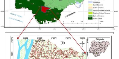 Peta nigeria menunjukkan tumbuh-tumbuhan tali pinggang